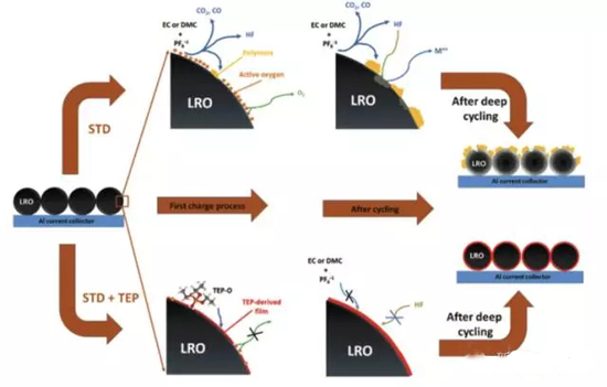 1486716993349095605.jpg hh.webp.jpg