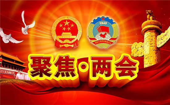 觀點集錦！兩會上電池行業傳出了那些重磅級聲音？