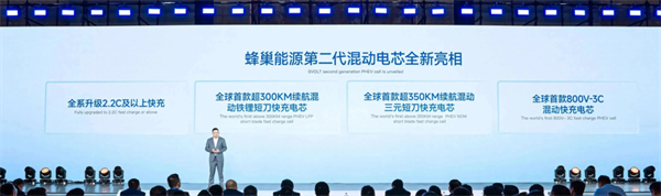 獨(dú)家｜對(duì)話楊紅新：蜂巢能源2024年如何“破卷”？