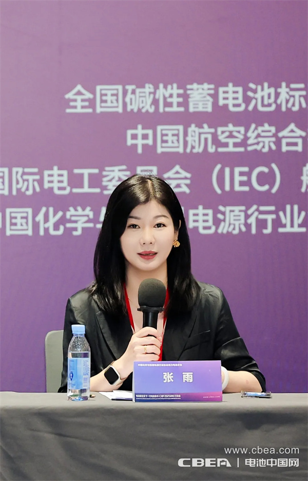 IEC飛行器電池國內(nèi)技術(shù)對口工作組第一次全體大會在深圳召開