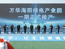 萬華化學10萬噸第四代磷酸鐵鋰材料投產